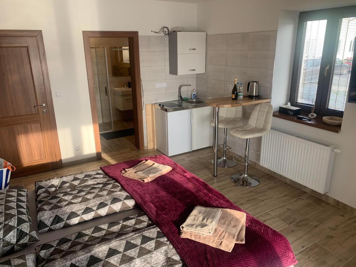 Apartmany Zupanovice ドブジーシュ エクステリア 写真