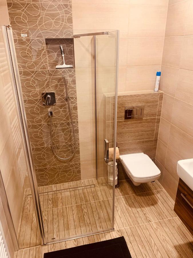 Apartmany Zupanovice ドブジーシュ エクステリア 写真