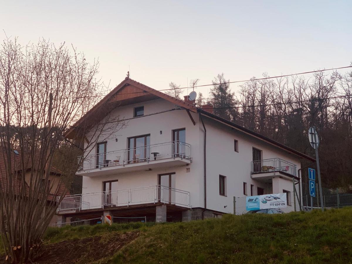 Apartmany Zupanovice ドブジーシュ エクステリア 写真