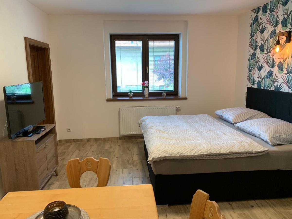 Apartmany Zupanovice ドブジーシュ エクステリア 写真