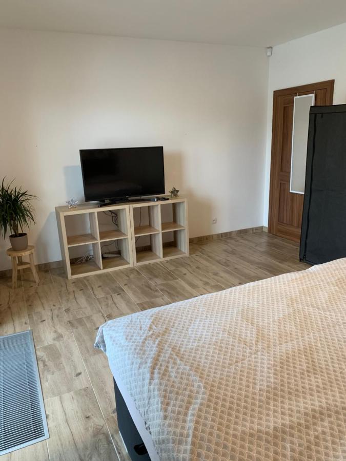 Apartmany Zupanovice ドブジーシュ エクステリア 写真